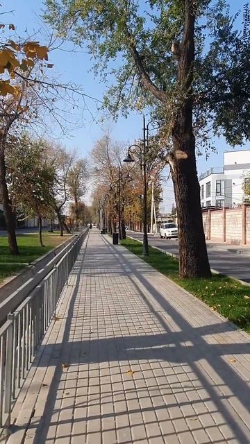 Бишкек осенний