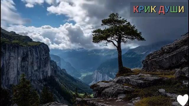 Ночная правда. смотреть онлайн