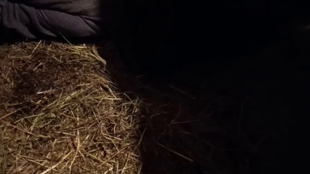 Новости в хозяйстве/ Живём на Ураое смотреть онлайн