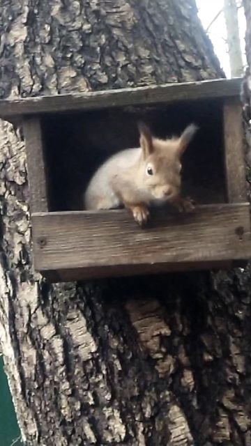 И скажешь ты:  прекрасен мир