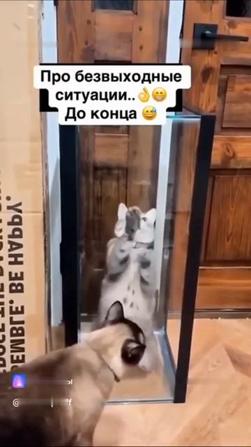 Замуровали демоны смотреть онлайн