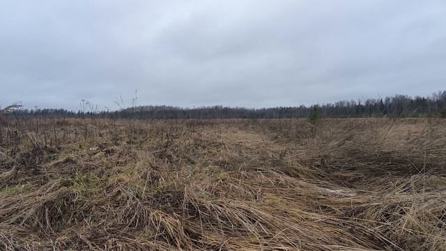 Поле. ч.2. Ноябрь 2025 смотреть онлайн