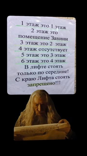 #204 || МЕМЫ || ПРИКОЛЫ || ЮМОР смотреть онлайн