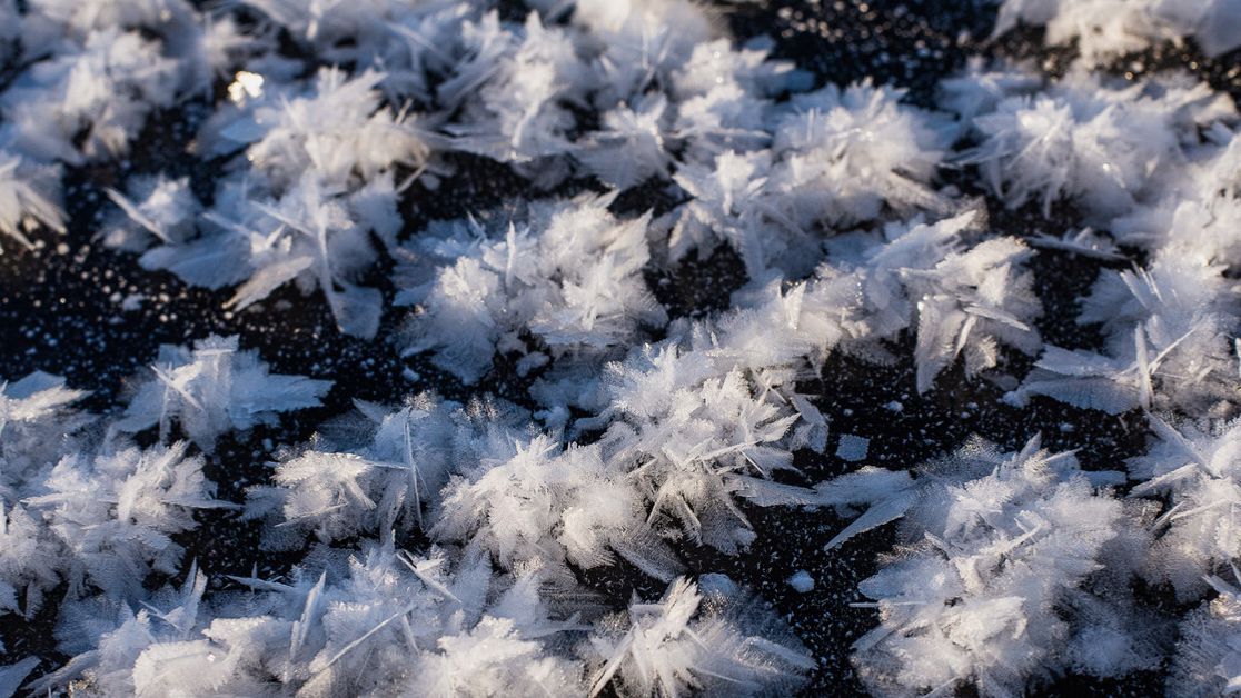 Как появляются ледяные цветы и где их можно увидеть_ смотреть онлайн