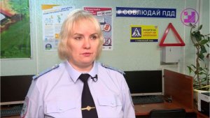 Сводка ГИБДД