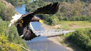 Набиль 2025 длинный