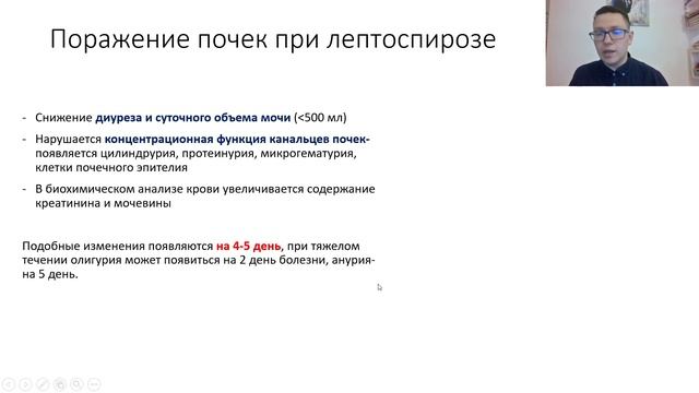 Лептоспироз. Лекция для студента и практикующего врача. смотреть онлайн