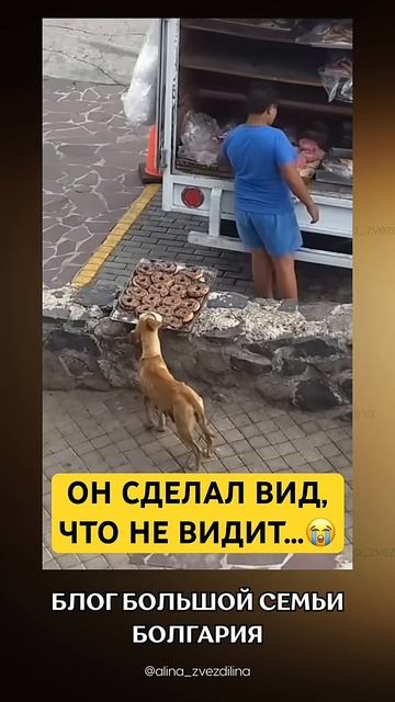 Собака нашла еду, а человек не заметил смотреть онлайн