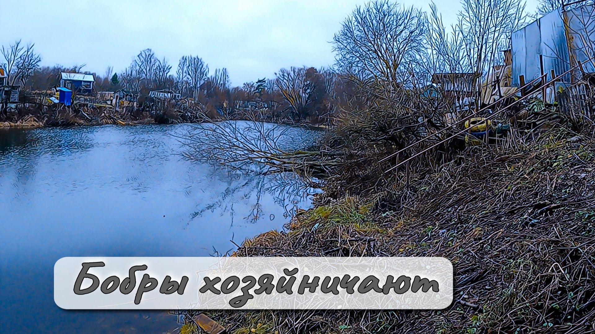 Бобры хозяйничают Сок из тыквы смотреть онлайн