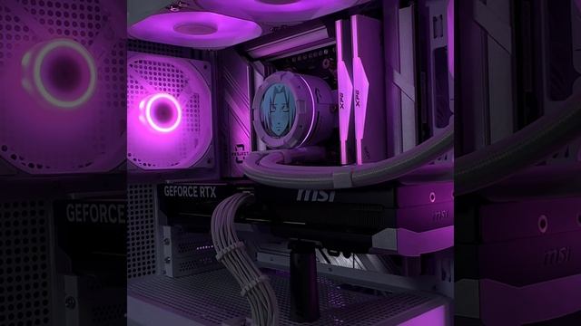 Sakura смотреть онлайн