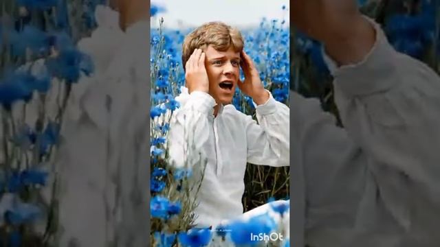 Отговорила роща золотая... С.Есенин смотреть онлайн