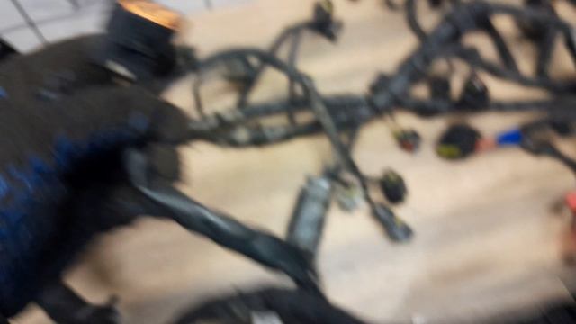 проводка моторная рио 3 1.4 мкпп.mp4