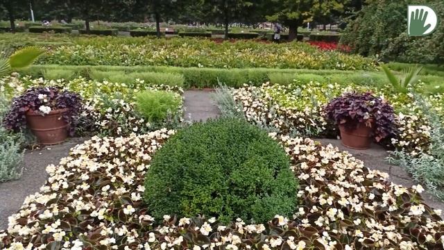 Видео журнал "PRO·ЦВЕТНИКИ" №1 ЖИЗНЕРАДОСТНЫЙ, МОНОХРОМНЫЙ и др. смотреть онлайн