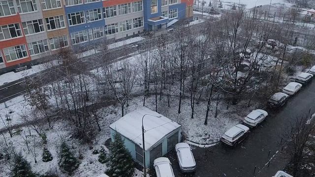 СНЕГОПАД в НОЯБРЕ 2025 г