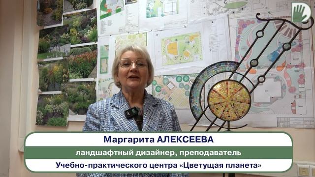 Книга Маргариты Алексеевой - "Здравствуй, САД!". смотреть онлайн