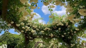 ЗАРВАЛИСЬ МУЖИКИ