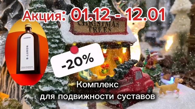 Lv_0_20251201153332.mp4