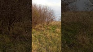 Участок Краснодар.mp4