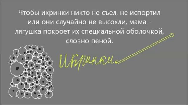 Диафильм Голова с хвостом