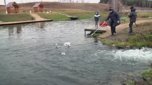 " Махна - махна ... "  Музыкальная шкатулка