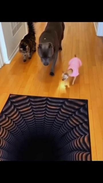 #197 || МЕМЫ || ПРИКОЛЫ || ЮМОР смотреть онлайн