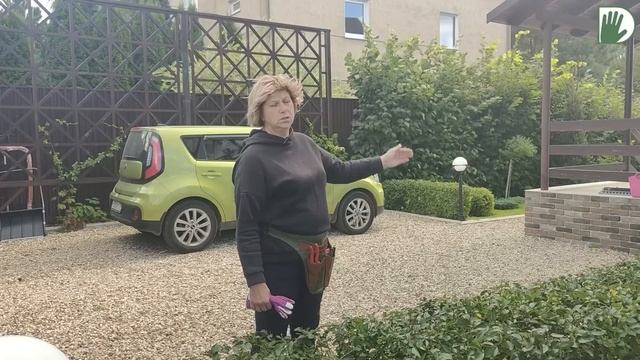 Видео журнал "СОФ №112" Cад БЕЗ многолетников, цветников, дорожек и лавочек смотреть онлайн