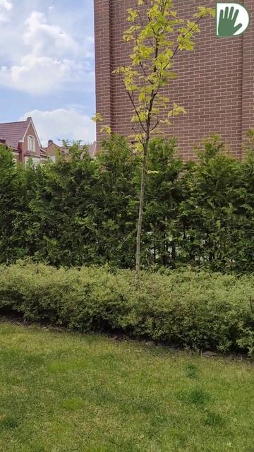 Дизайн маленького сада. #design #дача #ландшафтныйдизайн #сад #garden #youtubeshorts смотреть онлайн