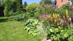 Видео журнал "СОФ №97" НОВЫЙ интересный АВТОРСКИЙ САД. Особенности, дизайн и уход