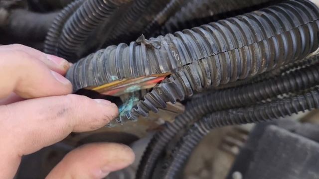 SITRAK C7H. Переодически пропадают тормоза!
Spn 38414 Fmi 0 и Spn 38670 Fmi 0