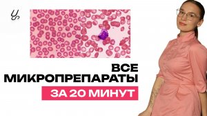 Все микропрепараты по патанатомии