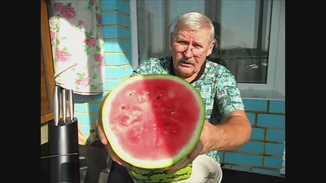 О выращивании арбузов