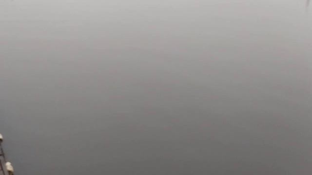 video_2025-12-01_09-12-56 смотреть онлайн