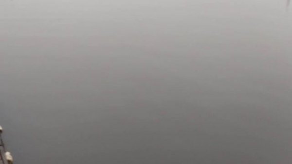 video_2025-12-01_09-12-56