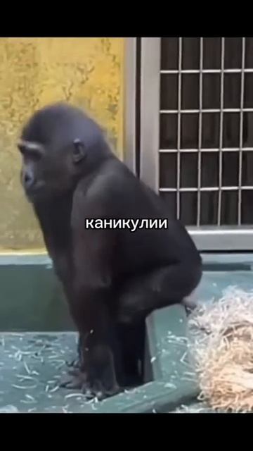 -А какой сегодня день? -Каникули смотреть онлайн
