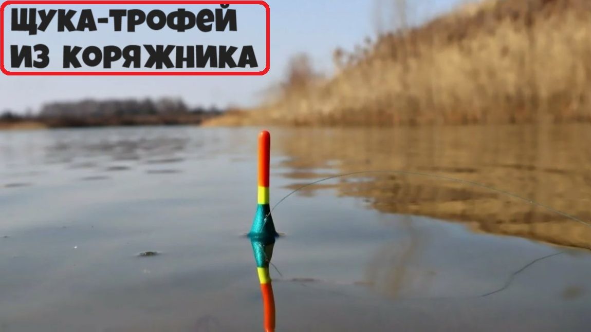 ⚡️Крупная щука в конце ноября - на живца. Рыбалка на поплавок накануне зимы - 2025 !!! смотреть онлайн