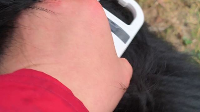 7. выражено/перв ZIMON V. FRANKENGOLD (Asap v. Aldamar – Paulina v. Frankengold) смотреть онлайн