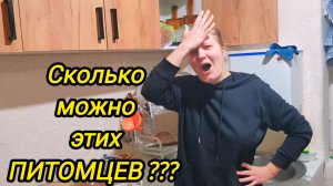 КУПИЛИ ДОМ В ДЕРЕВНЕ | Сколько можно этих питомцев | Дом в деревне | Деревенские будни