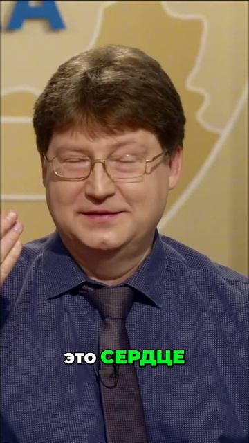 Печать Бога. Как избранные узнают истину? смотреть онлайн