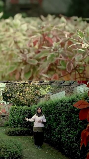 МАЛЫЙ САД. СОЗДАНИЕ И ДИЗАЙН. #дизайн #garden #ландшафтныйдизайн #design смотреть онлайн