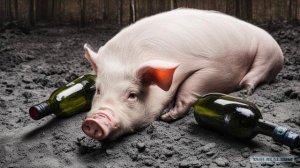 Мошенница очень громко визжит 🐖🐽🐷