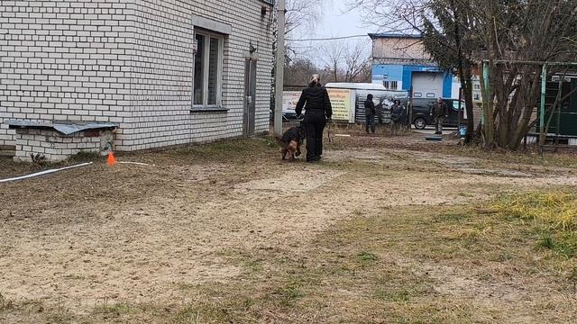 10. выражено/пож VARVARA ARBEIT*S ARISTOKRATEN (San-Rathelle Eurostar – Bior Arbeit*S Aristokraten) смотреть онлайн