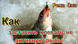 Рыбалка на безмотылку,КАК ЗАСТАВИТЬ КЛЕВАТЬ НЕ АКТИВНУЮ РЫБУ