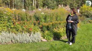 Видео журнал "СОФ №131" Авторский тандем. СТИЛЬНЫЙ ОСЕННИЙ САД