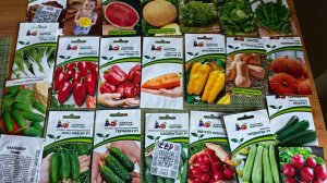 Обзор Семян на 2026