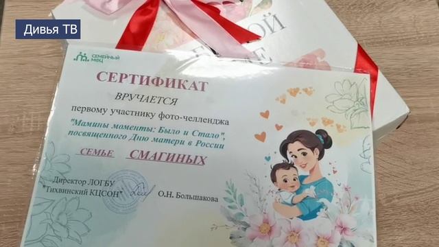 Тихвинский Семейный МФЦ отметил День матери ярким праздником и фоточелленджем смотреть онлайн