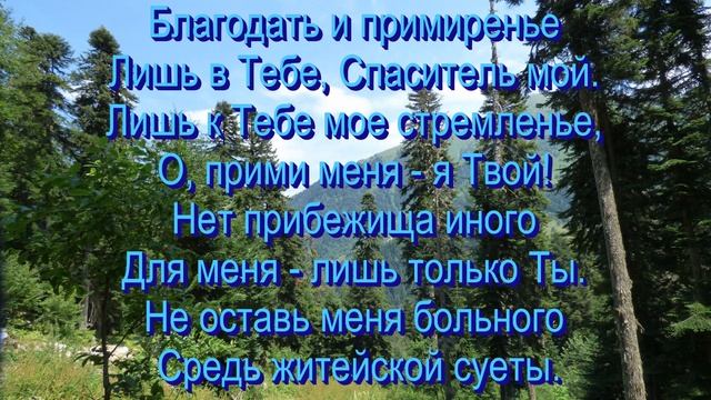 Иисус, души Спаситель, общее пение 30.11.2025 смотреть онлайн
