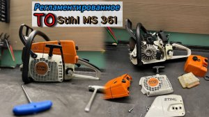 Регламентированное техническое обслуживание / Stihl MS 361
