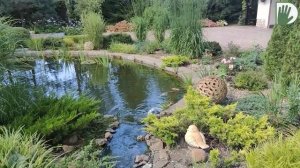 Видео-визитка "ЦВЕТУЩАЯ ПЛАНЕТА". Юрий АЛЕКСЕЕВ