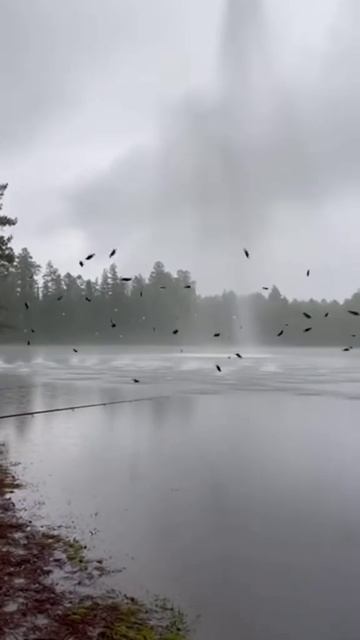 1000006426.mp4