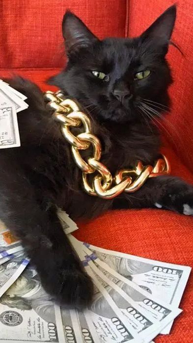 Когда разбогател) смотреть онлайн